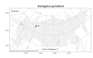 Astragalus gorodkovii Jurtzev, Atlas of the Russian Flora (FLORUS) (Russia)
