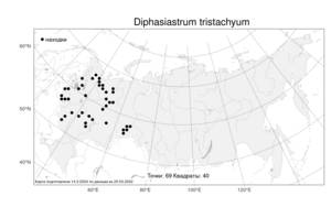 Diphasiastrum tristachyum (Pursh) Holub, Atlas of the Russian Flora (FLORUS) (Russia)