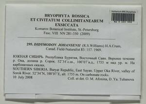 Husnotiella johansenii (R.S. Williams) J.A. Jiménez & M.J. Cano, Bryophytes, Bryophytes - Baikal & Transbaikal regions (B18) (Russia)