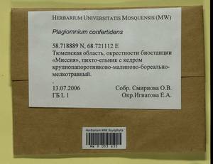 Plagiomnium confertidens (Lindb. & Arnell) T.J. Kop., Bryophytes, Bryophytes - Western Siberia (including Altai) (B15) (Russia)