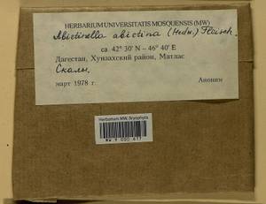 Abietinella abietina (Hedw.) M. Fleisch., Bryophytes, Bryophytes - North Caucasus & Ciscaucasia (B12) (Russia)