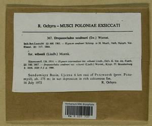 Drepanocladus sendtneri (Schimp. ex H. Müll.) Warnst., Bryophytes, Bryophytes - Western Europe (BEu) (Poland)