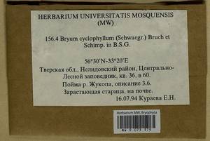 Ptychostomum cyclophyllum (Schwägr.) J.R. Spence, Bryophytes, Bryophytes - Middle Russia (B6) (Russia)