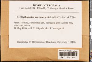 Plagiomnium maximoviczii (Lindb.) T.J. Kop., Bryophytes, Bryophytes - Asia (outside ex-Soviet states) (BAs) (Japan)