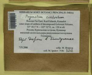Pogonatum contortum (Menzies ex Brid.) Lesq., Bryophytes, Bryophytes - Russian Far East (excl. Chukotka & Kamchatka) (B20) (Russia)