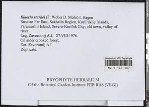 Arctoa starkei (F. Weber & D. Mohr) Loeske, Bryophytes, Bryophytes - Russian Far East (excl. Chukotka & Kamchatka) (B20) (Russia)