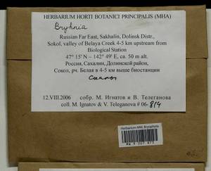 Bryhnia, Bryophytes, Bryophytes - Russian Far East (excl. Chukotka & Kamchatka) (B20) (Russia)