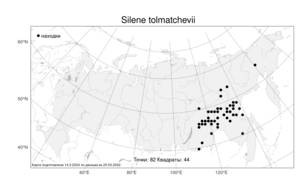 Silene tolmatchevii Bocquet, Atlas of the Russian Flora (FLORUS) (Russia)