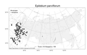 Epilobium parviflorum Schreb., Atlas of the Russian Flora (FLORUS) (Russia)