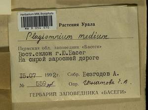Plagiomnium medium (Bruch & Schimp.) T.J. Kop., Bryophytes, Bryophytes - Permsky Krai, Udmurt Republic, Sverdlovsk & Kirov Oblasts (B8) (Russia)