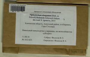 Niphotrichum elongatum (Ehrh. ex Frisvoll) Bedn.-Ochyra & Ochyra, Bryophytes, Bryophytes - Chukotka & Kamchatka (B21) (Russia)