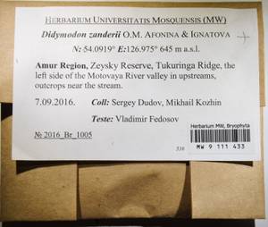 MW 9 111 433, Husnotiella rufidula (Müll. Hal.) J.A. Jiménez & M.J. Cano, Bryophytes, Bryophytes - Russian Far East (excl. Chukotka & Kamchatka) (B20) (Russia)