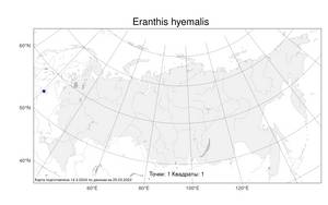 Eranthis hyemalis (L.) Salisb., Atlas of the Russian Flora (FLORUS) (Russia)