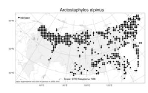 Arctostaphylos alpinus (L.) Spreng., Atlas of the Russian Flora (FLORUS) (Russia)