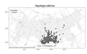 Aquilegia sibirica Lam., Atlas of the Russian Flora (FLORUS) (Russia)
