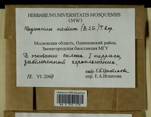 Plagiomnium medium (Bruch & Schimp.) T.J. Kop., Bryophytes, Bryophytes - Moscow City & Moscow Oblast (B6a) (Russia)