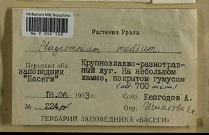 Plagiomnium medium (Bruch & Schimp.) T.J. Kop., Bryophytes, Bryophytes - Permsky Krai, Udmurt Republic, Sverdlovsk & Kirov Oblasts (B8) (Russia)