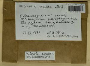 Philonotis seriata Mitt., Bryophytes, Bryophytes - North Caucasus & Ciscaucasia (B12) (Russia)