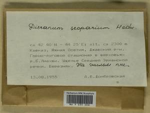 Dicranum scoparium Hedw., Bryophytes, Bryophytes - Transcaucasia (B13) (South Ossetia)