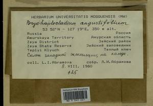 Haplocladium angustifolium (Hampe & Müll. Hal.) Broth., Bryophytes, Bryophytes - Russian Far East (excl. Chukotka & Kamchatka) (B20) (Russia)