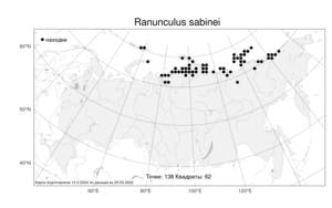 Ranunculus sabinei R. Br., Atlas of the Russian Flora (FLORUS) (Russia)