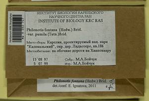 Philonotis fontana (Hedw.) Brid., Bryophytes, Bryophytes - Karelia, Leningrad & Murmansk Oblasts (B4) (Russia)