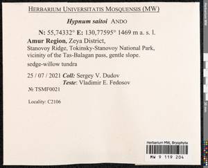 Hypnum saitoi Ando, Bryophytes, Bryophytes - Russian Far East (excl. Chukotka & Kamchatka) (B20) (Russia)