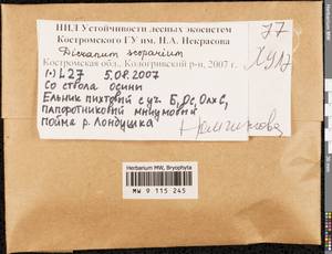 Dicranum scoparium Hedw., Bryophytes, Bryophytes - Middle Russia (B6) (Russia)