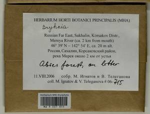 Bryhnia, Bryophytes, Bryophytes - Russian Far East (excl. Chukotka & Kamchatka) (B20) (Russia)