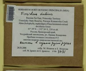 Fissidens dubius P. Beauv., Bryophytes, Bryophytes - Russian Far East (excl. Chukotka & Kamchatka) (B20) (Russia)