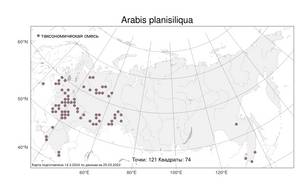 Arabis planisiliqua (Pers.) Rchb., Atlas of the Russian Flora (FLORUS) (Russia)