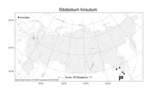 Sitobolium hirsutum (Sw.) L. A. Triana & Sundue, Atlas of the Russian Flora (FLORUS) (Russia)