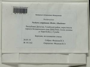 Alleniella complanata (Hedw.) S. Olsson, Enroth & D. Quandt, Bryophytes, Bryophytes - North Caucasus & Ciscaucasia (B12) (Russia)