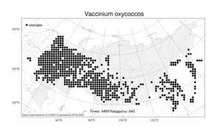 Vaccinium oxycoccos L., Atlas of the Russian Flora (FLORUS) (Russia)