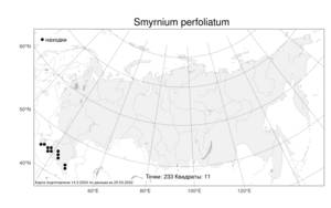 Smyrnium perfoliatum L., Atlas of the Russian Flora (FLORUS) (Russia)