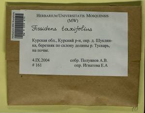 Fissidens taxifolius Hedw., Bryophytes, Bryophytes - Central forest-and-steppe region (B10) (Russia)