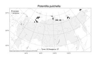 Potentilla pulchella R. Br., Atlas of the Russian Flora (FLORUS) (Russia)