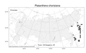 Platanthera chorisiana (Cham.) Rchb.f., Atlas of the Russian Flora (FLORUS) (Russia)