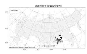 Aconitum turczaninowii Vorosch., Atlas of the Russian Flora (FLORUS) (Russia)