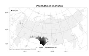 Peucedanum morisonii Besser, Atlas of the Russian Flora (FLORUS) (Russia)