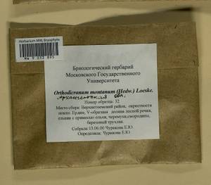 Orthodicranum montanum (Hedw.) Loeske, Bryophytes, Bryophytes - European North East (B7) (Russia)