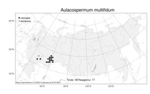 Aulacospermum multifidum (Sm.) Woronow, Atlas of the Russian Flora (FLORUS) (Russia)