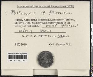 Philonotis fontana (Hedw.) Brid., Bryophytes, Bryophytes - Chukotka & Kamchatka (B21) (Russia)