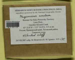 Plagiomnium acutum (Lindb.) T.J. Kop., Bryophytes, Bryophytes - Russian Far East (excl. Chukotka & Kamchatka) (B20) (Russia)