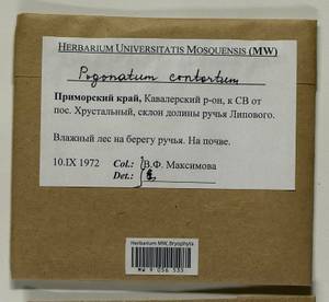 Pogonatum contortum (Menzies ex Brid.) Lesq., Bryophytes, Bryophytes - Russian Far East (excl. Chukotka & Kamchatka) (B20) (Russia)