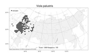 Viola palustris L., Atlas of the Russian Flora (FLORUS) (Russia)