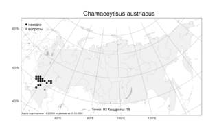 Chamaecytisus austriacus (L.) Link, Atlas of the Russian Flora (FLORUS) (Russia)