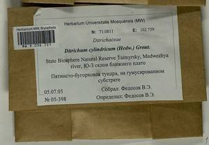 Trichodon cylindricus (Hedw.) Schimp., Bryophytes, Bryophytes - Krasnoyarsk Krai, Tyva & Khakassia (B17) (Russia)