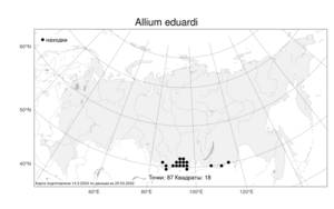 Allium eduardi Stearn ex Airy Shaw, Atlas of the Russian Flora (FLORUS) (Russia)