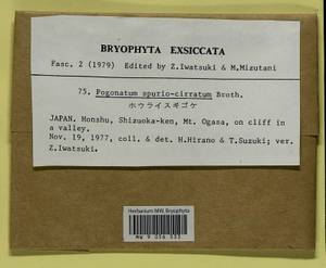 Pogonatum cirratum (Sw.) Brid., Bryophytes, Bryophytes - Asia (outside ex-Soviet states) (BAs) (Japan)